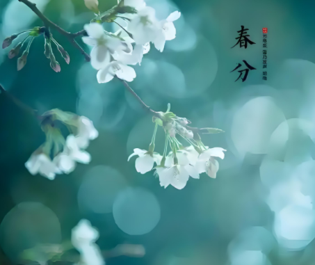 062001349.png image.png