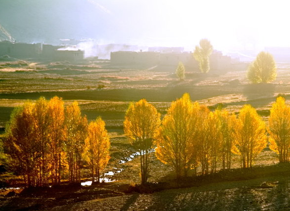 212402839.png image.png