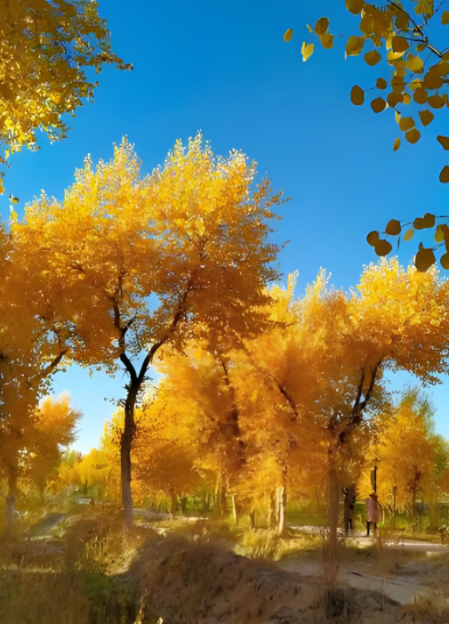 051508764.png image.png