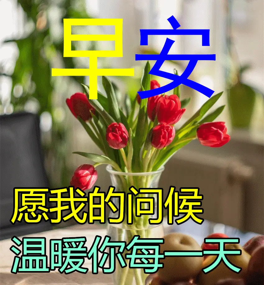 baee1113ccd84826aa2611479f845b6f.webp