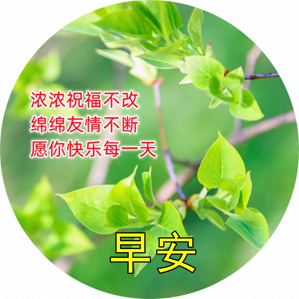 d6c6a6dc292543e3995ea648ff25ed21.webp