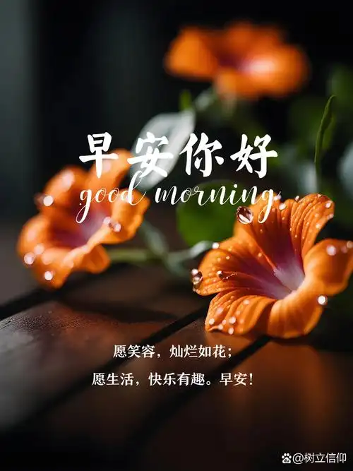 u=2303136943,2408190500&fm=253&fmt=auto&app=138&f=JPEG.webp
