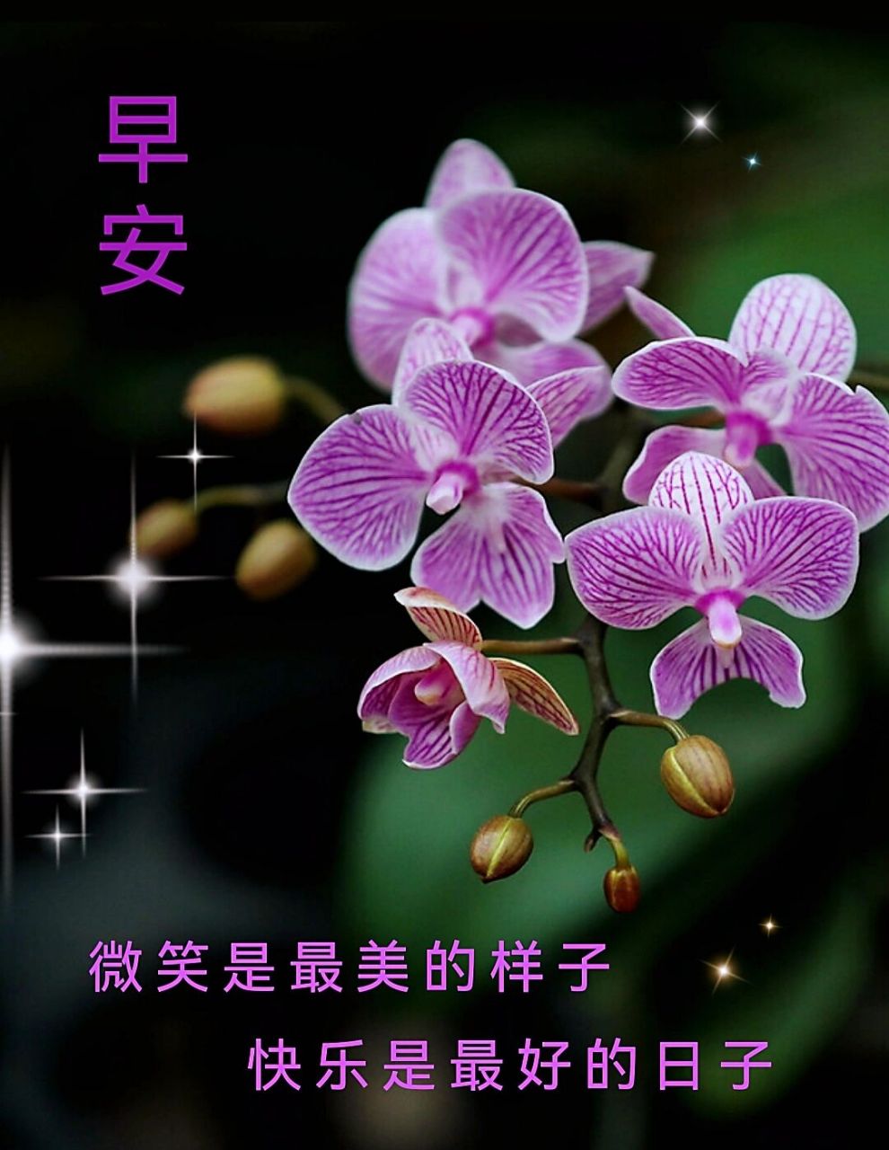 93c110398e2414f1da024ff39c84063d.jpg