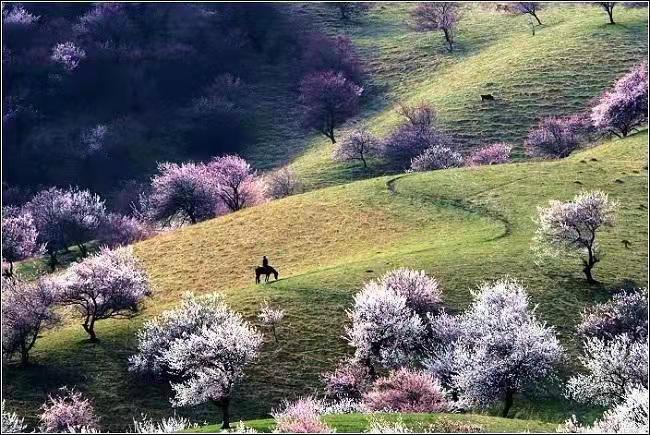 1644750866870023243.jpg 寰俊鍥剧墖_20220213185158.jpg