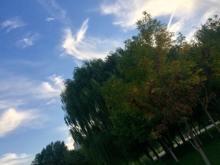 简篇-勿勿旅记第一天~甘肃至中卫