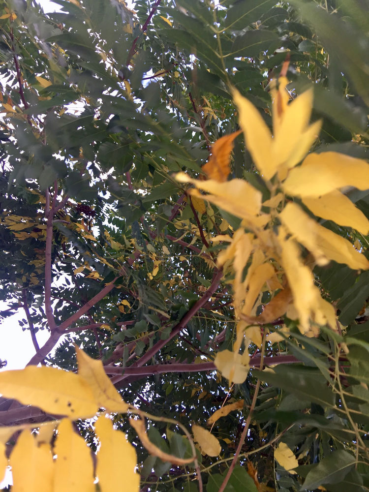 简篇-勿勿旅记第一天~甘肃至中卫