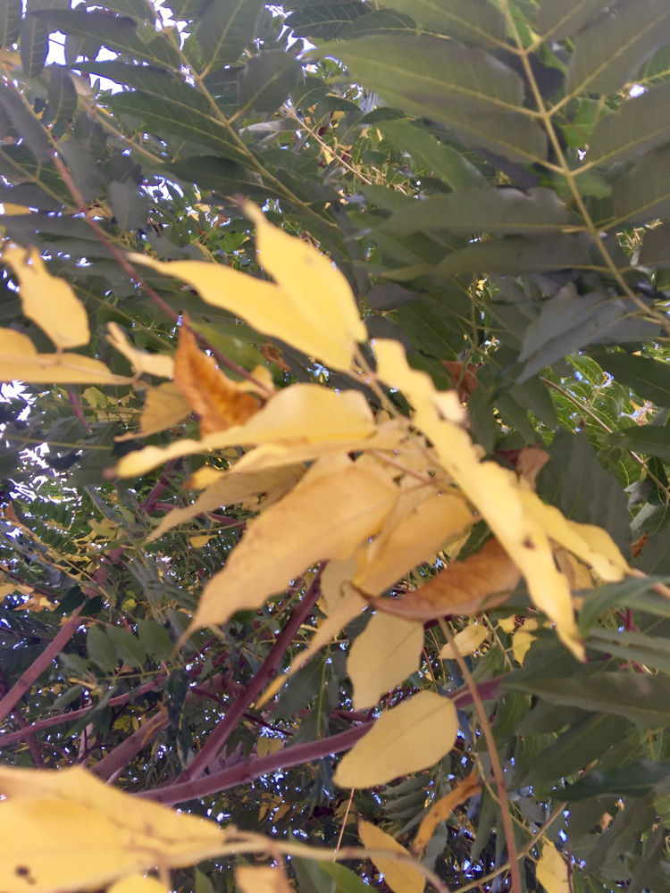 简篇-勿勿旅记第一天~甘肃至中卫