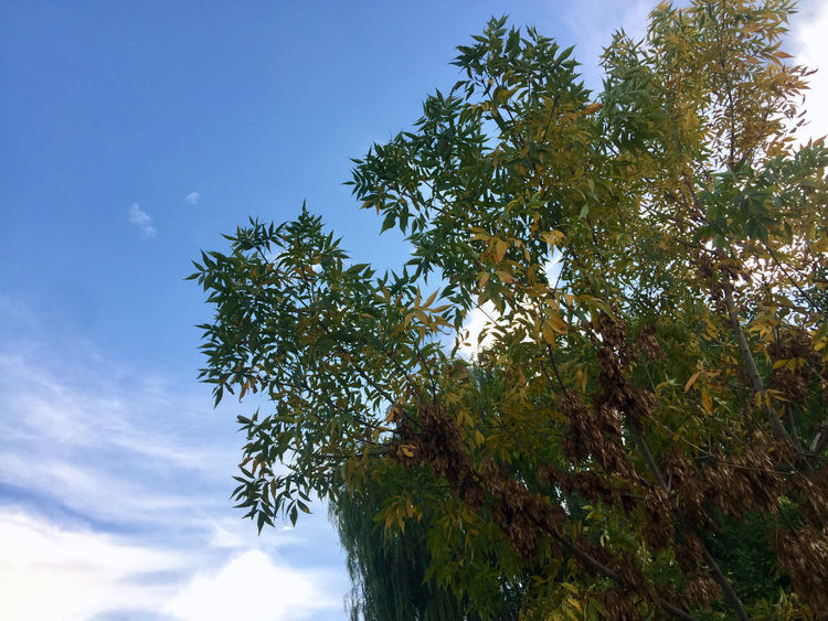 简篇-勿勿旅记第一天~甘肃至中卫