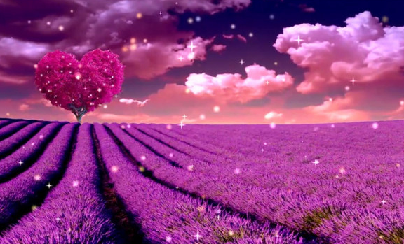 033401283.png image.png