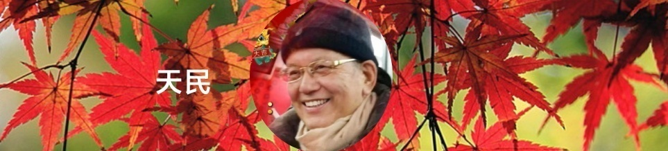 055603006.png image.png