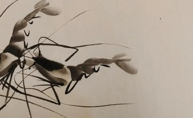 044509610.png image.png