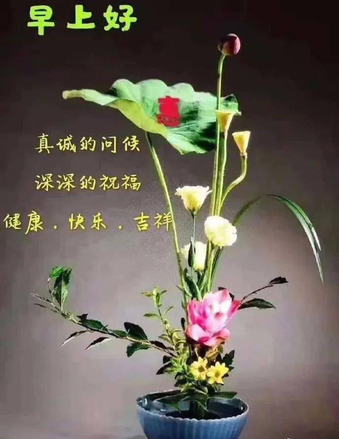 e86a239467b34e10ab95479a7fefb00e.webp