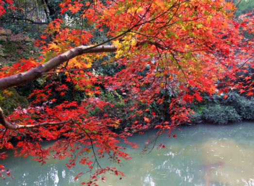 203303132.png image.png