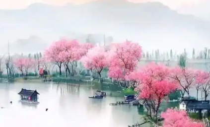 222605406.png image.png