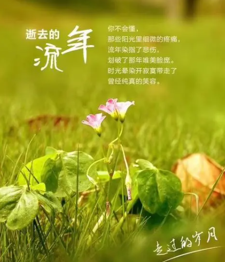 200001905.png image.png
