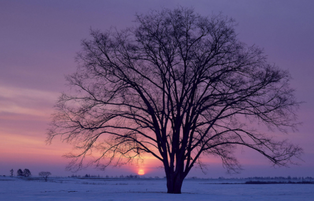 210408328.png image.png