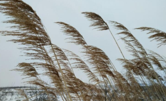 210204680.png image.png