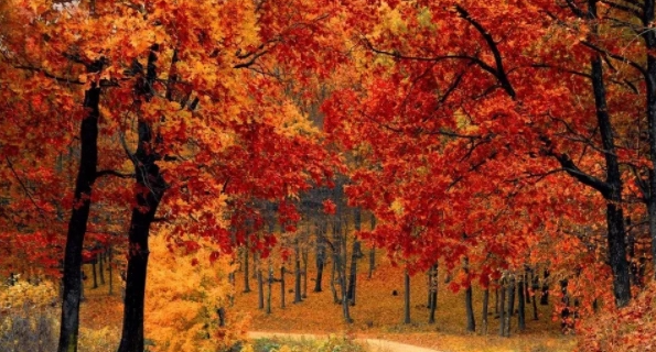 222304940.png image.png