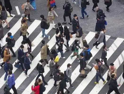 212403589.png image.png