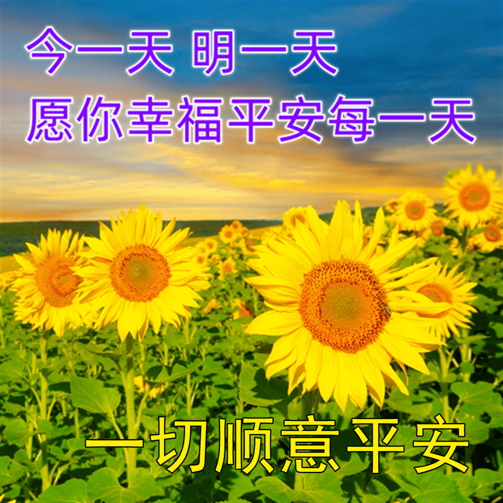 fa3a6cc3c07ecdc1dddc7dc240e87886.gif