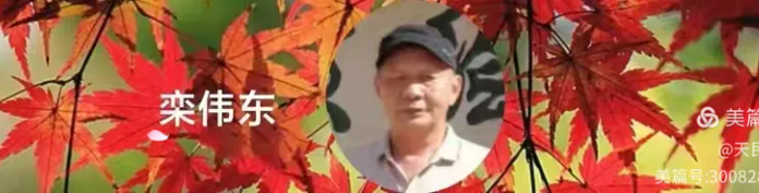 072106811.png image.png