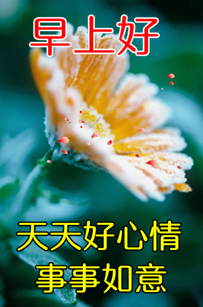 b3e4b7e31cdae046e2f49d9806ae1f67.gif