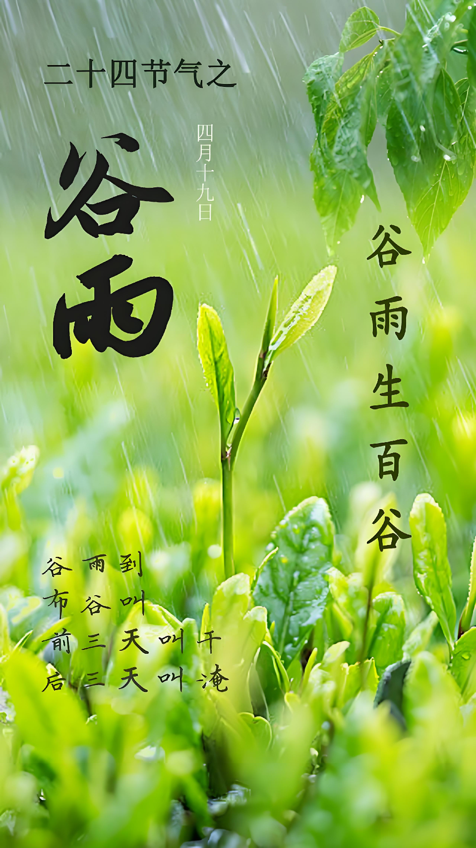 微信图片_20250420112637