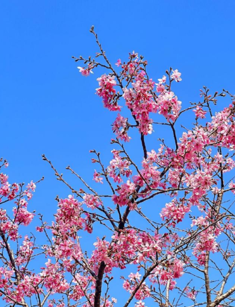 042903693.png image.png