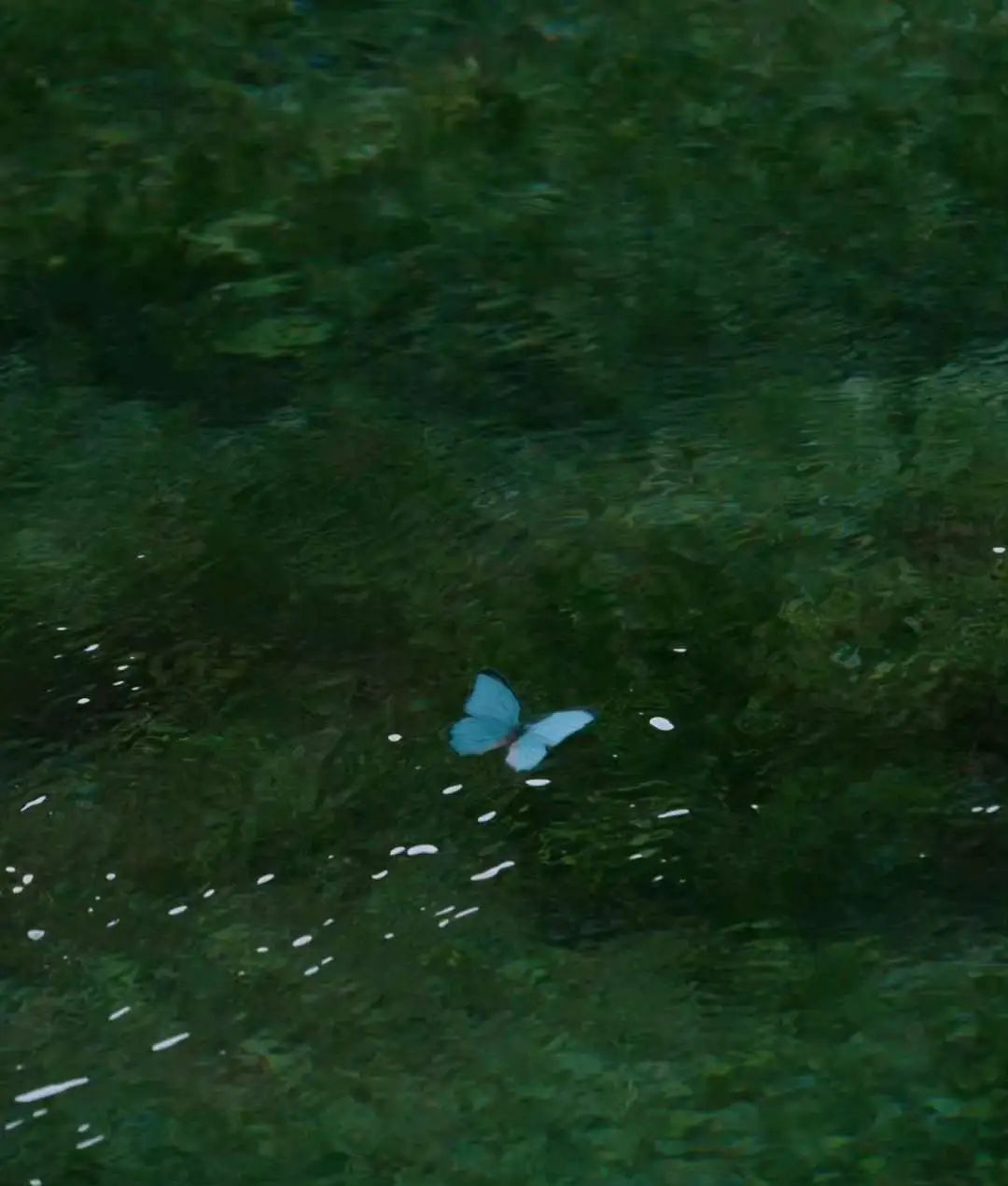 640.jpg