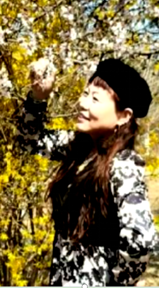 054708533.png image.png