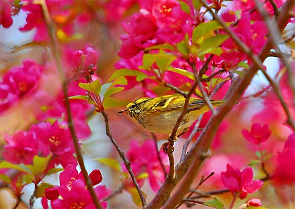 1640224787883071057.jpg 0.jpg