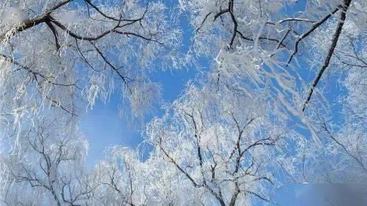 1642937848034084753.jpg QQ鍥剧墖20220123193647.jpg