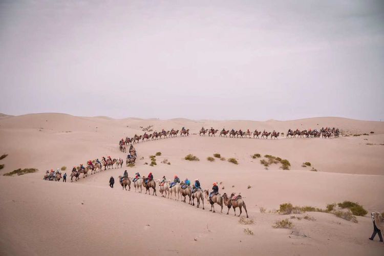 简篇-穿宁夏越内蒙——匆匆旅记第二天