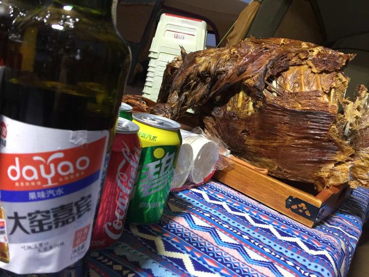 简篇-穿宁夏越内蒙——匆匆旅记第二天