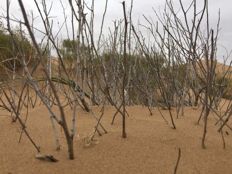 简篇-穿宁夏越内蒙——匆匆旅记第二天