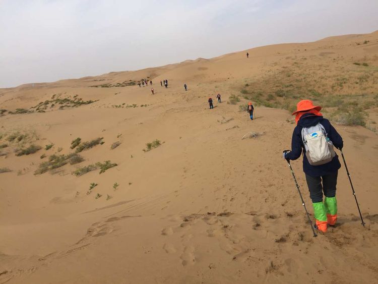 简篇-穿宁夏越内蒙——匆匆旅记第二天