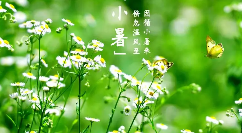 221604963.png image.png