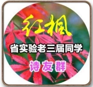 020306453.png image.png