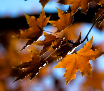 232007722.png image.png