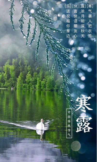 173004961.png image.png