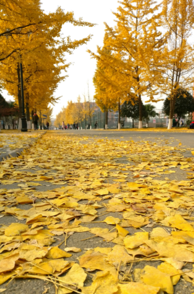 182308729.png image.png