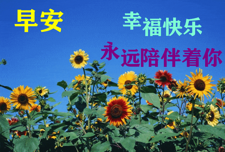 413d61fa899e425f98754074607a09c0.webp