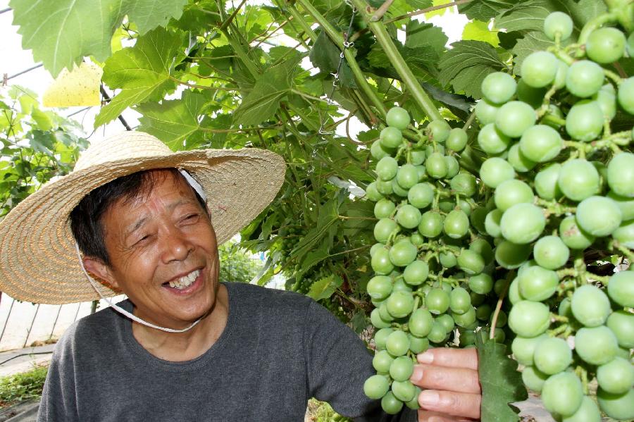 微信图片_20241210105212