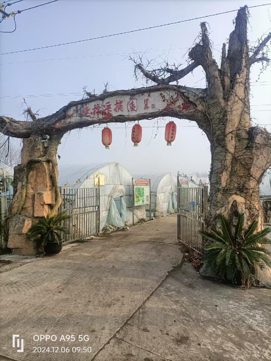 微信图片_20241210105207