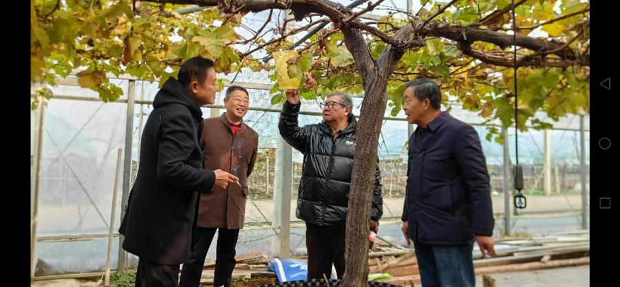 微信图片_20241210105203