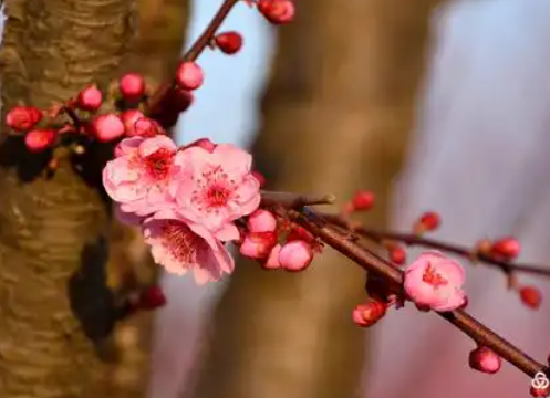 211501429.png image.png