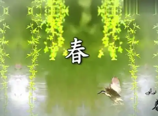 213708463.png image.png