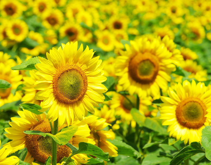 201209550.png image.png