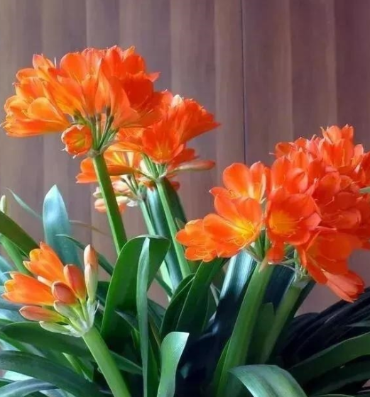 201109462.png image.png