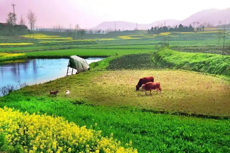 133203759.png image.png